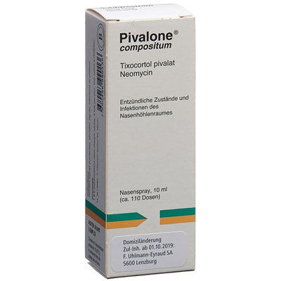 PIVALONE Compositum Nasenspray Fl 10 ml